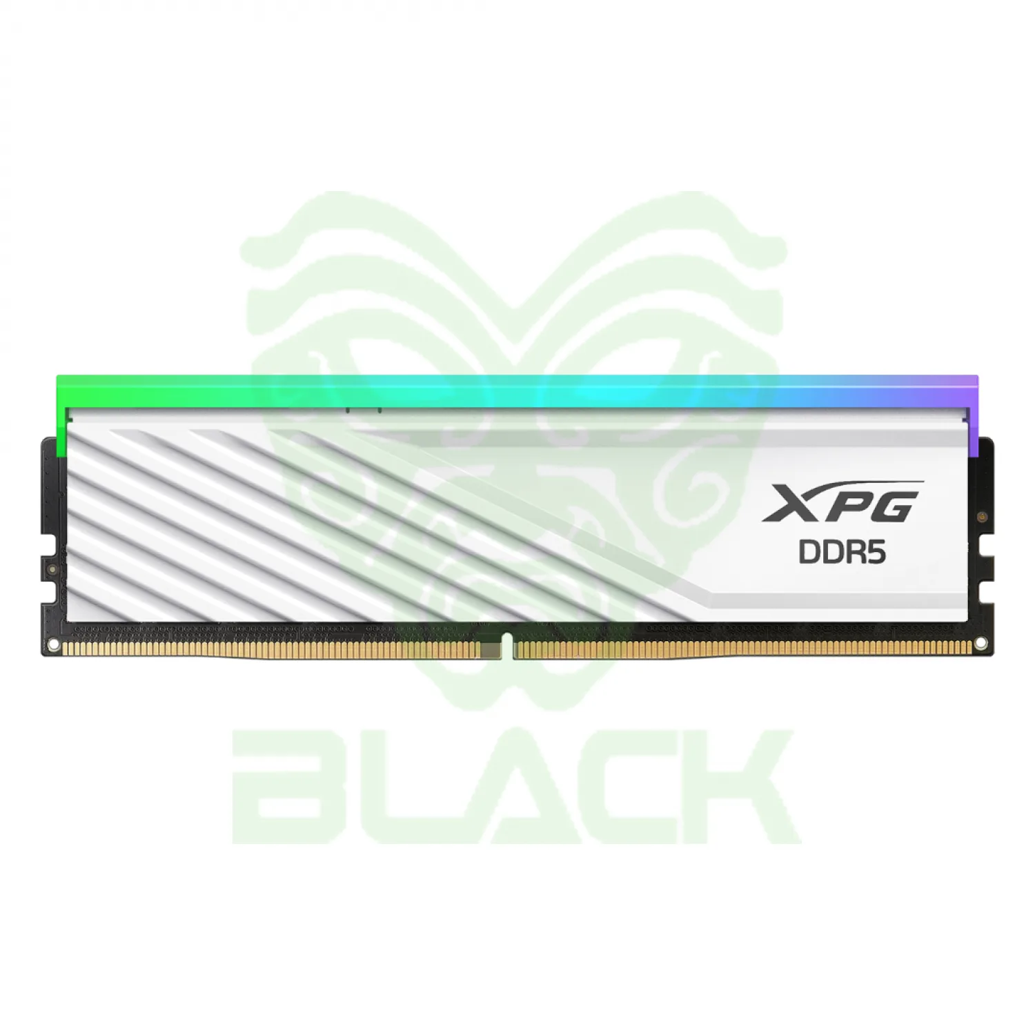 Memoria DDR5 8GB 5600MHz Adata Xpg Lancer White RGB Heatsink