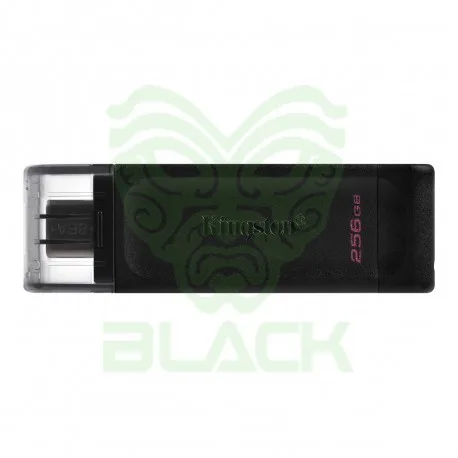 Pendrive Kingston 256GB Usb-c 3.2 Dt70 G1