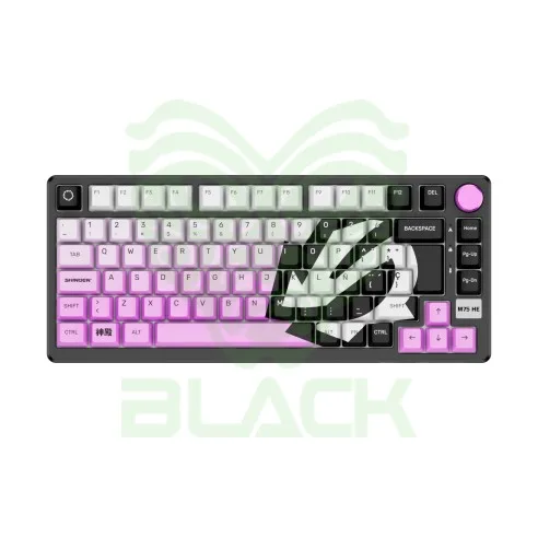 TECLADO ROYAL KLUDGE PRE VENTA MAGNÉTICO SHINDEN RKM75 HE RGB 75%
