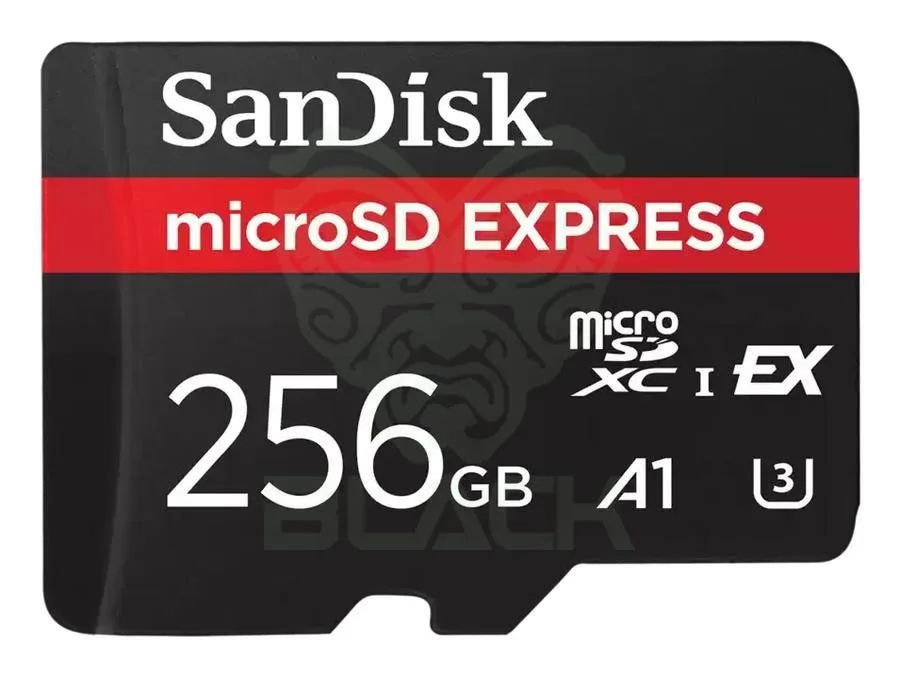 Memoria Microsd Express Sandisk 256GB 880MB/S