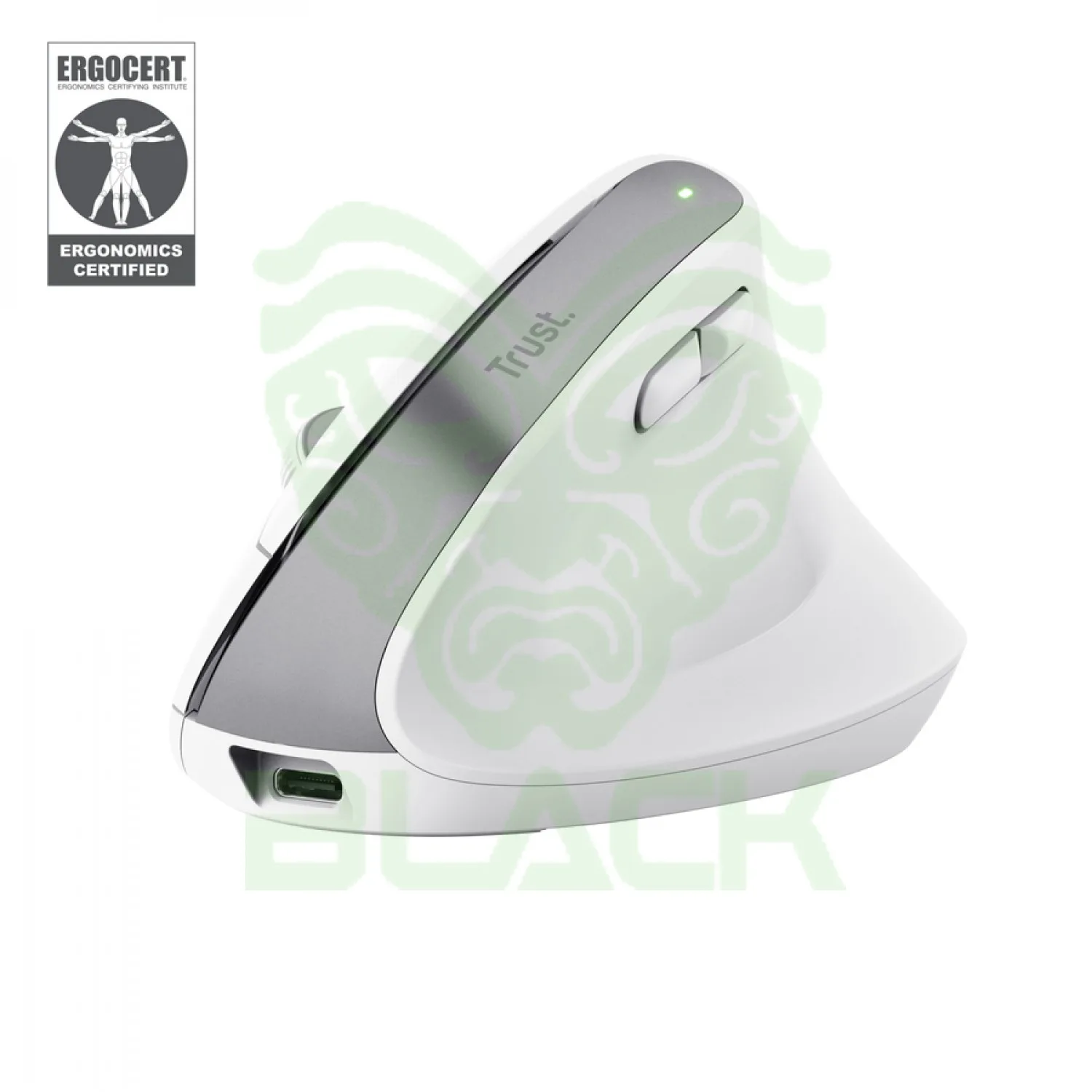 Mouse Gamer Trust Bayo Ergo Multidispositivo Wireless White