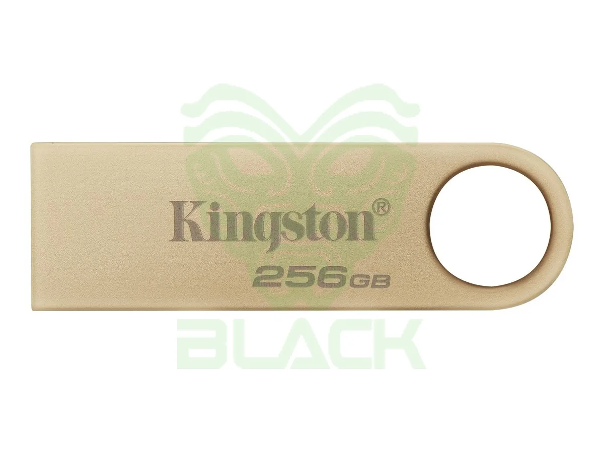 USB 256G KI DTSE9 METAL 3.2 G3