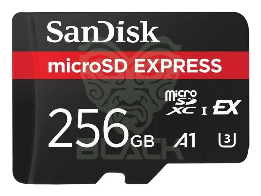 Memoria Microsd Express Sandisk 256GB 880MB/S