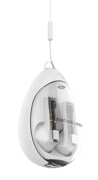 AURICULAR FOXBOX TWS BOOST IRIS BLANCO BT 51