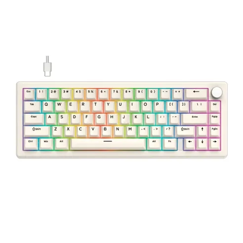 Teclado Mecánico Fantech Atom X66 Mk614 Retro - Beige (ice Apricot Switch) 65% Hot-swap RGB Usb-c