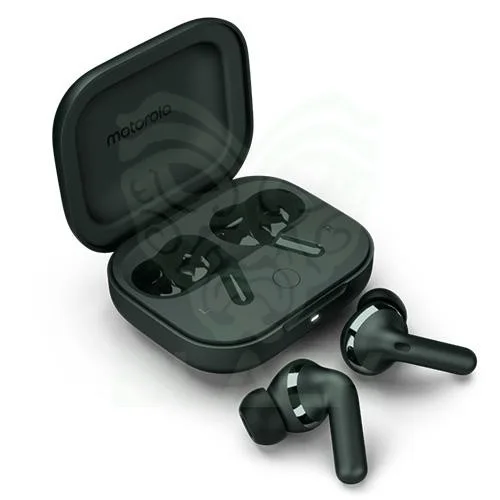 AURICULAR MOTOROLA BUDS+ DARKEST SPRUCE