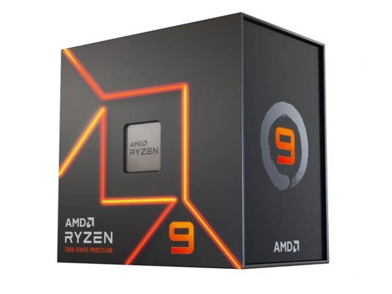 Micro AMD Ryzen 9 9900x (AM5)