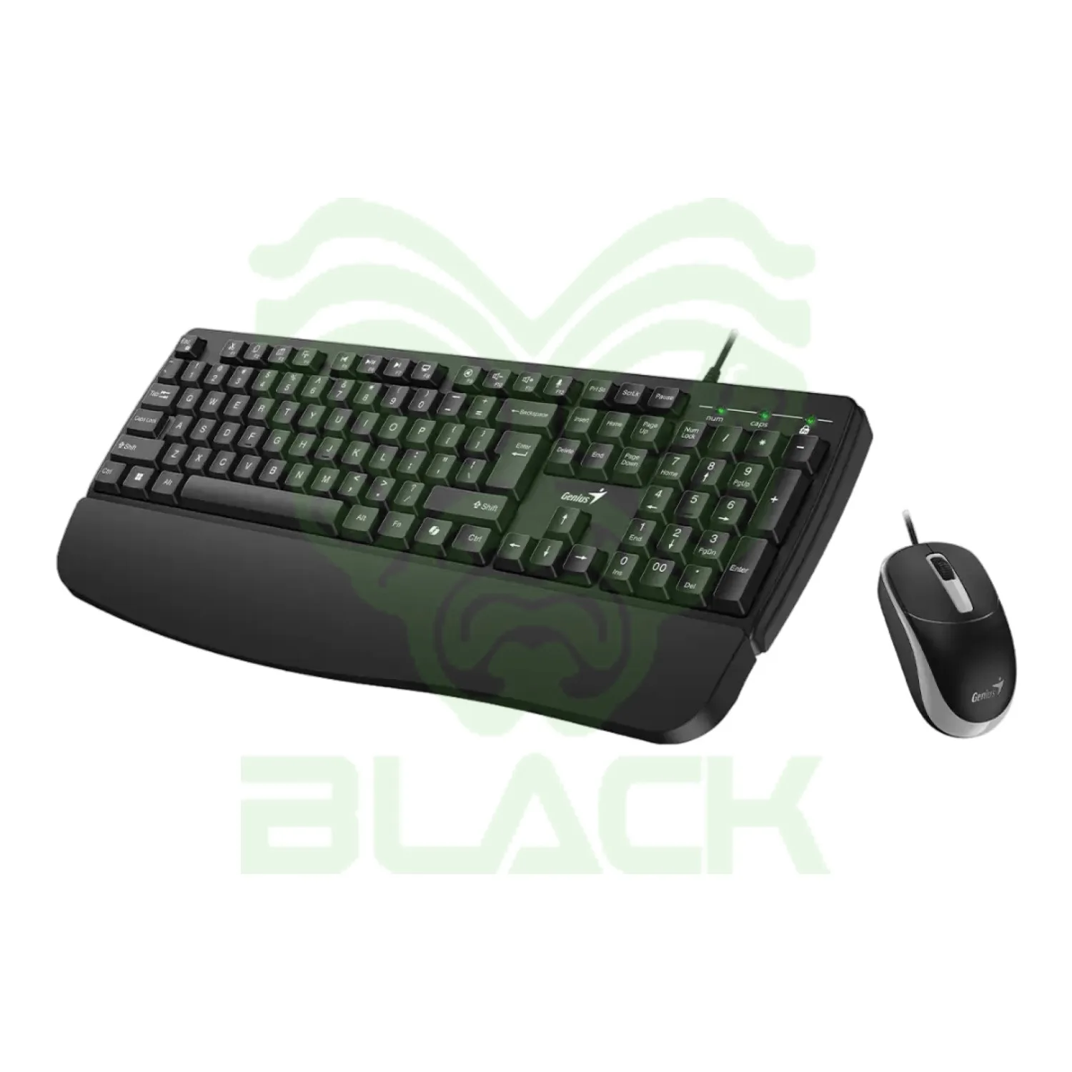 TECLADO + MOUSE COMBO USB GENIUS KM-123 BLACK