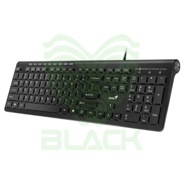 TECLADO GENIUS SLIMSTAR 230 II BLK USB BLACK