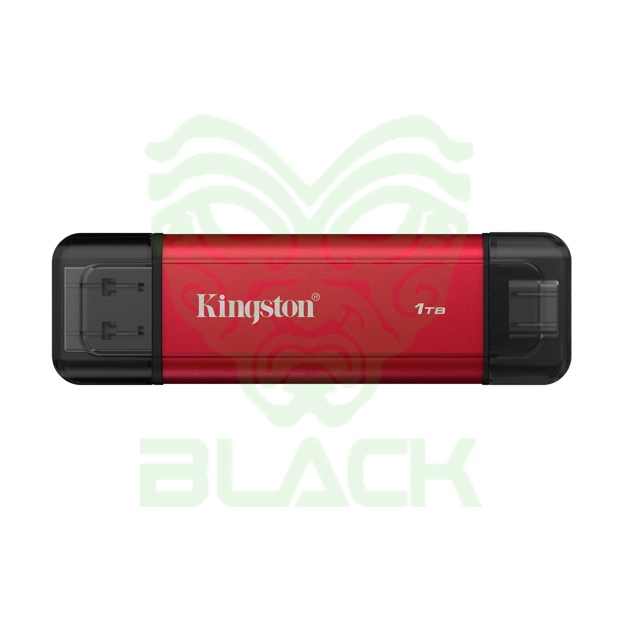 Disco Solido SSD Externo Kingston Dual 1TB USB 3.2 Gen 2