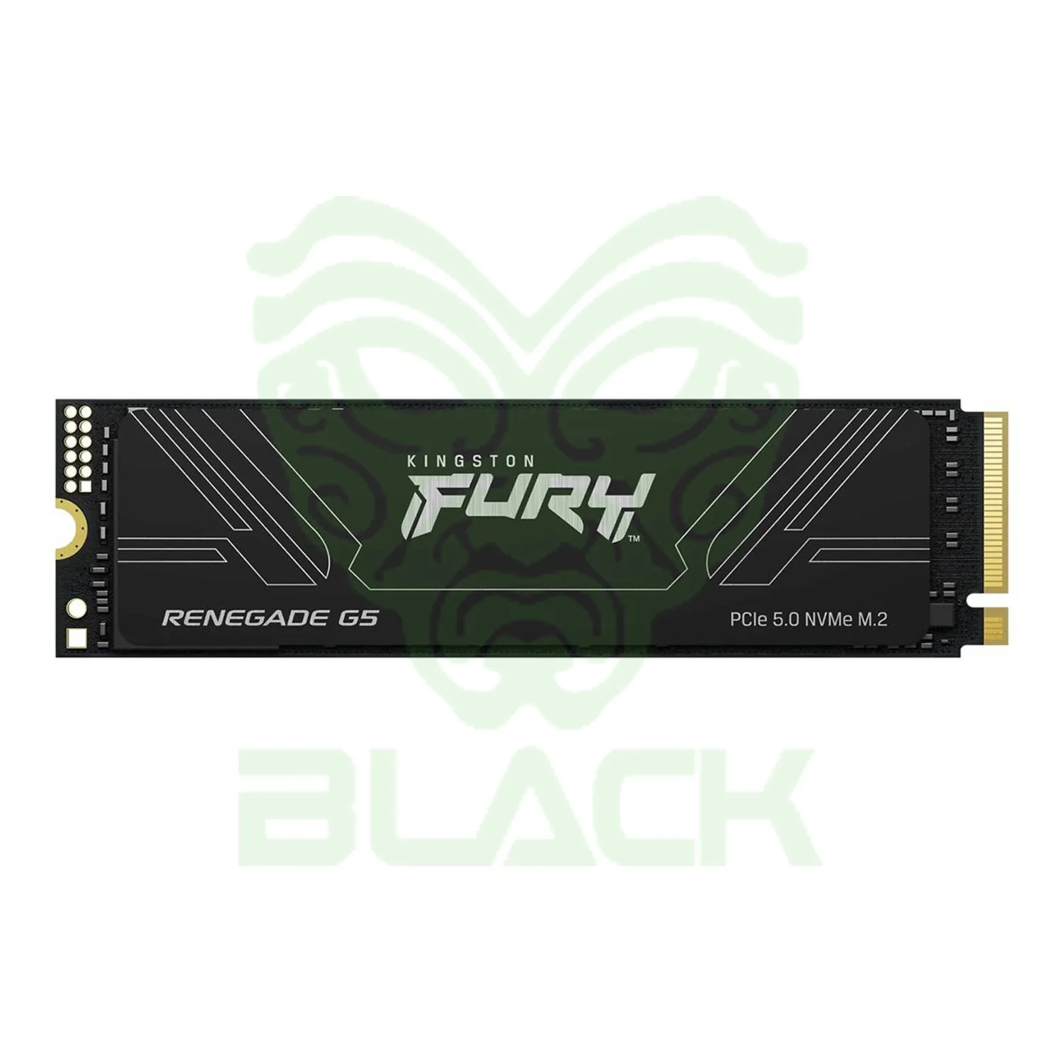 Disco Solido Interno Kingston Fury 1TB M2 Nvme