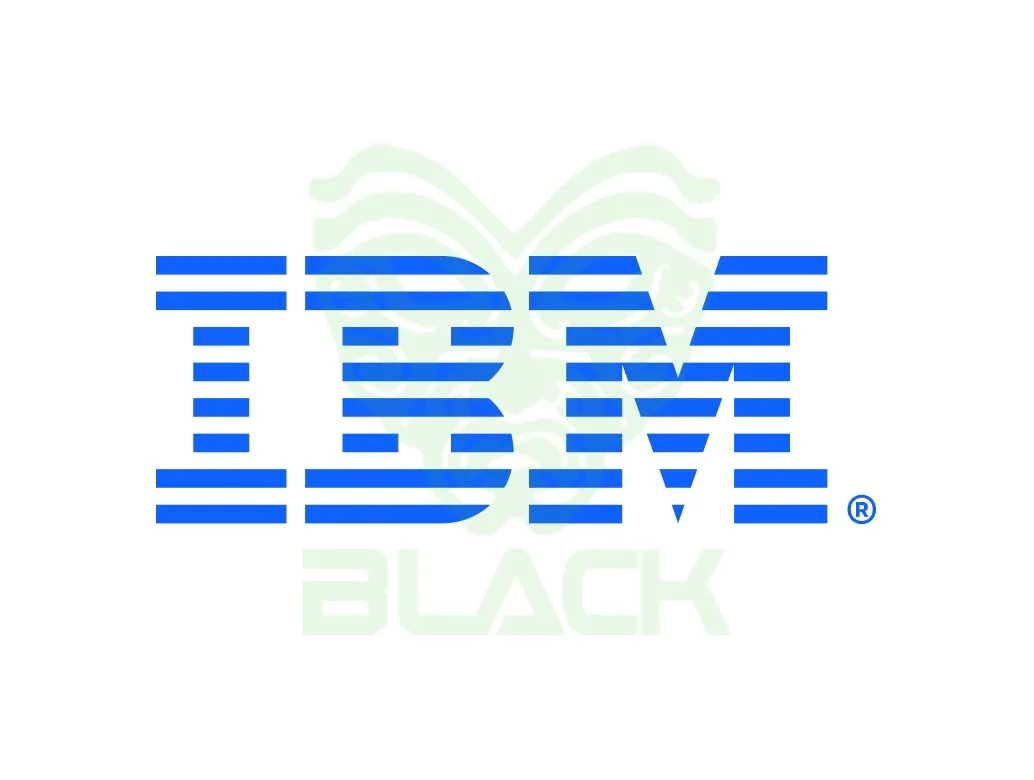 Upgrade Raid 5 Ibm M5100  1GB Flash