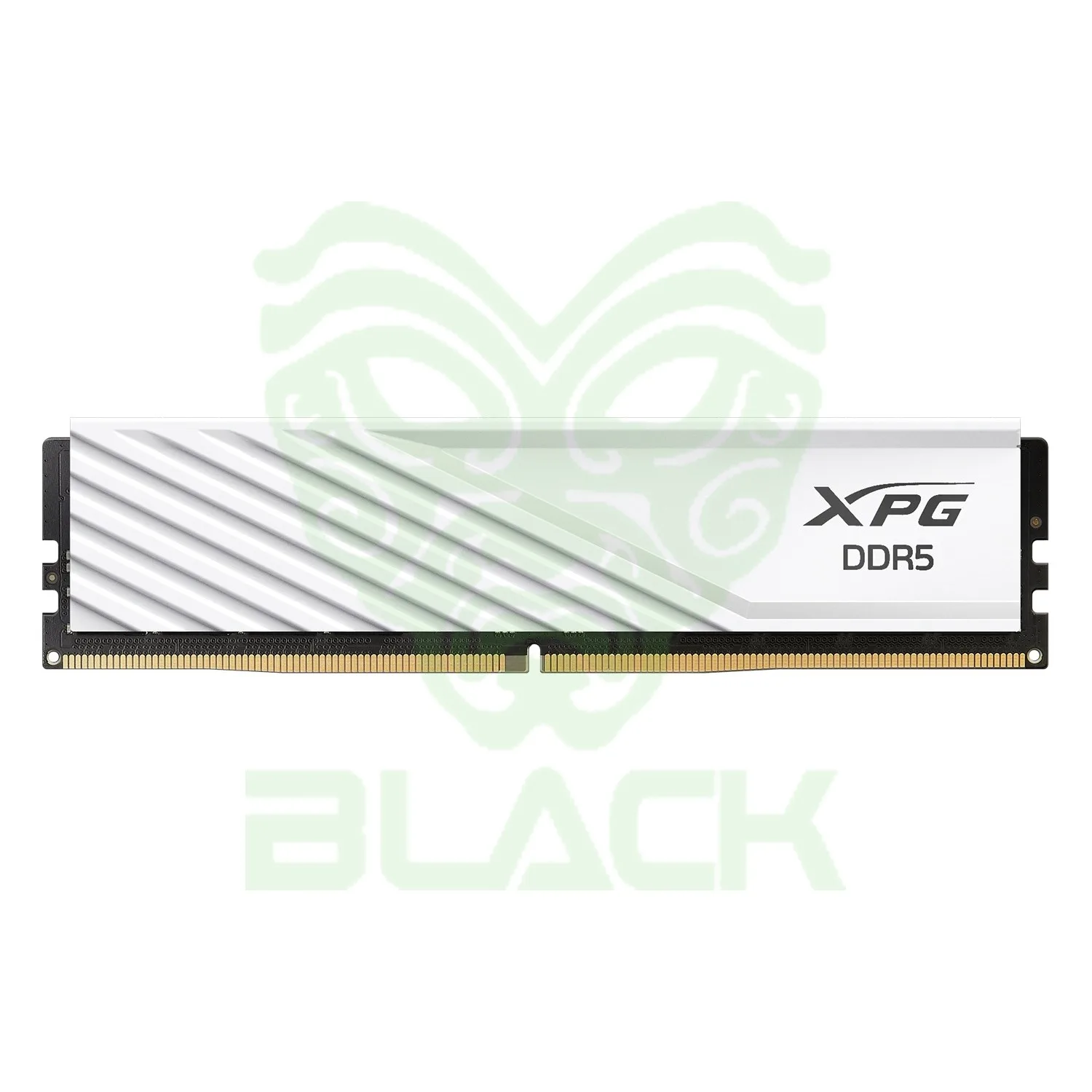 Memoria Adata DDR5 16GB 5600MHz Xpg Lancer Blade White Cl46 INTEL XMP 3.0 / AMD Expo