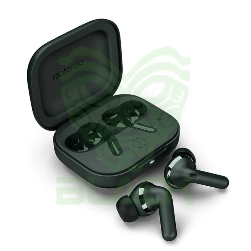 Auricular Motorola Buds+ Darkest Spruce