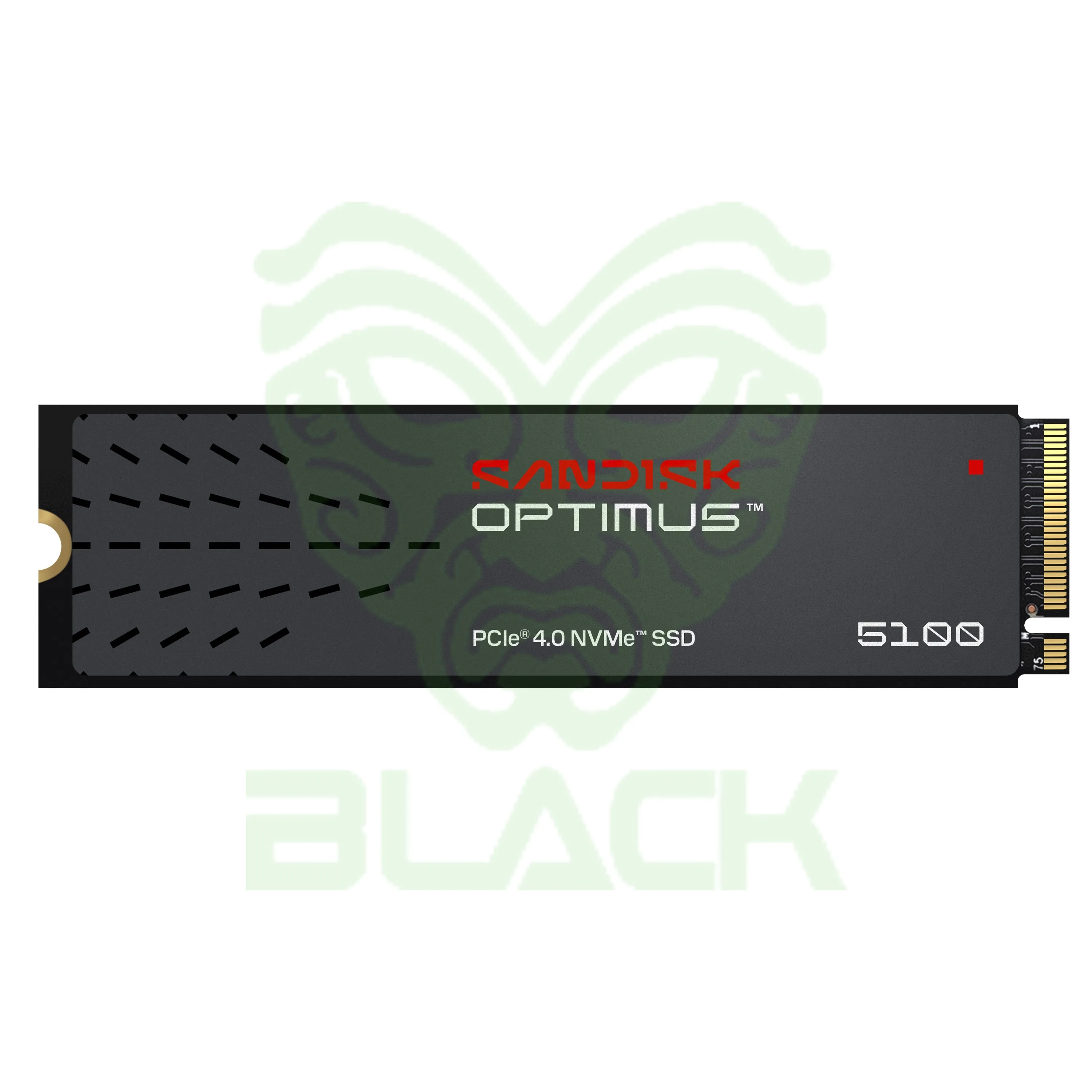 DISCO INTERNO SSD SANDISK OPTIMUS 5100 500GB M.2 2280 NVME PCIE 4.0 6600MB/S