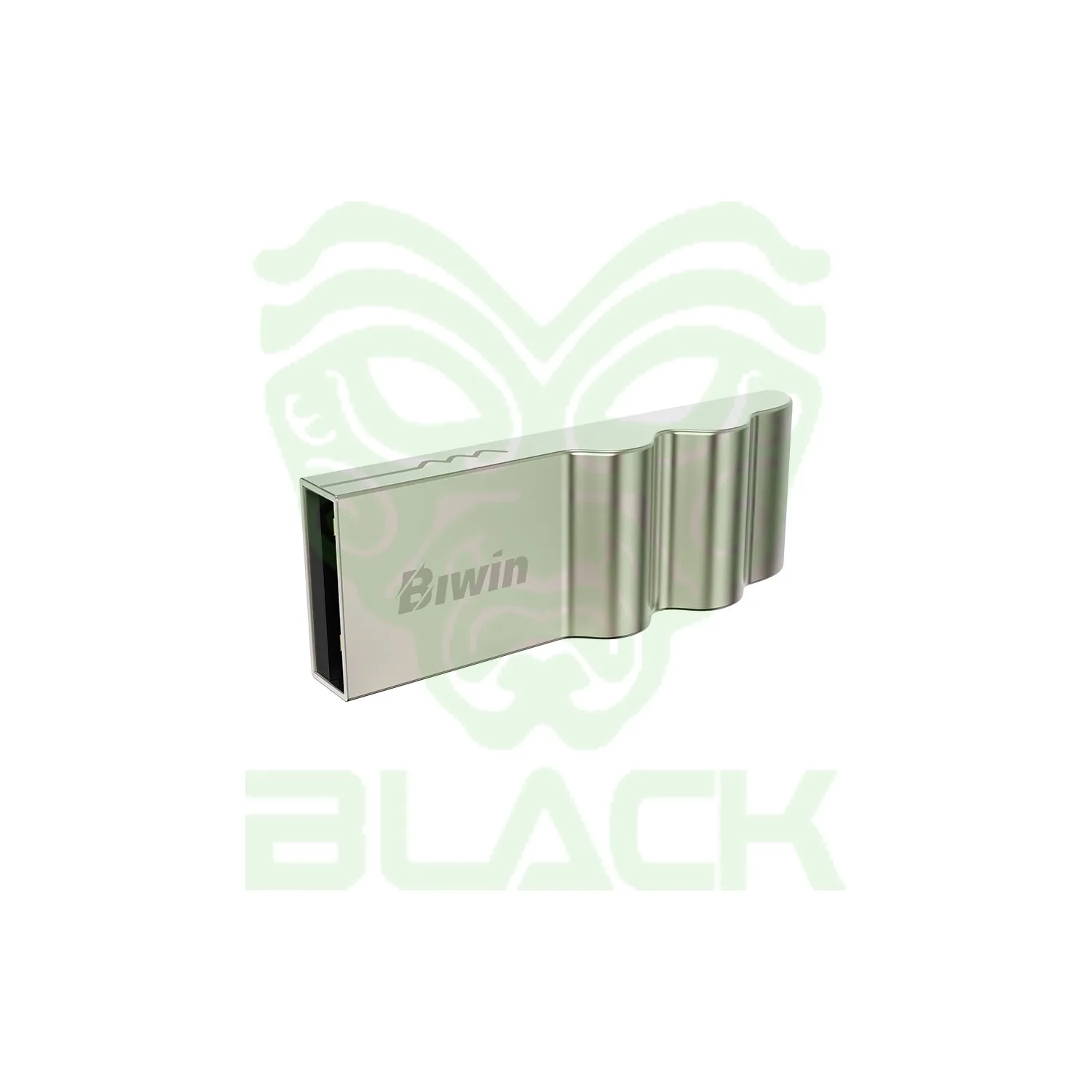 Pen Drive Biwin Ud30 32GB USB 2.0