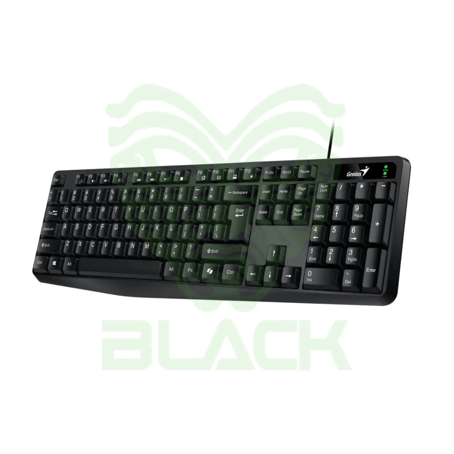 TECLADO USB GENIUS KB-117 BLACK