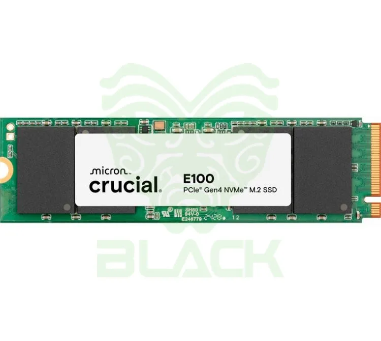 DISCO SOLIDO SSD M.2 CRUCIAL 2TB E100 5000MB/S NVME PCI-E GEN4 X4