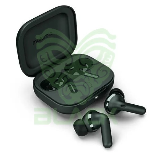 AURICULAR MOTOROLA BUDS+ DARKEST SPRUCE